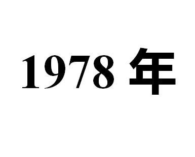 1978年今年幾歲|1978年今年多大